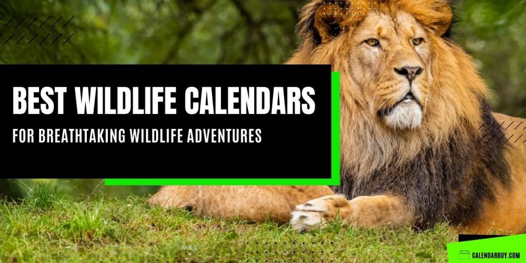 Top 13 Best Wildlife Calendars 2023 2024 for Breathtaking Wildlife
